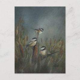 Chickadee Pond Postkarte