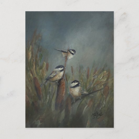 Chickadee Pond Postkarte (Vorderseite)