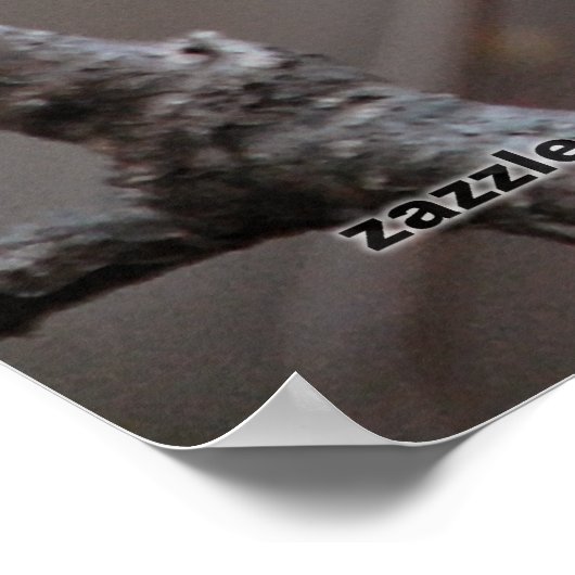 Chickadee Poster (Ecke)