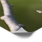 Chickadee Poster (Ecke)