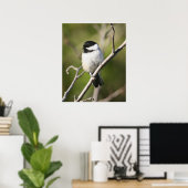 Chickadee Poster (Heimbüro)