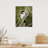 Chickadee Poster (Küche)