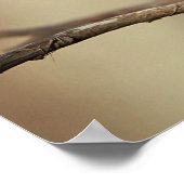 Chickadee Poster (Ecke)