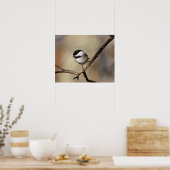 Chickadee Poster (Küche)
