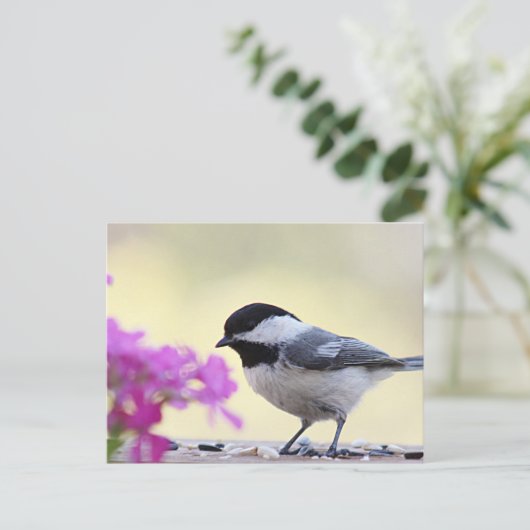 Chickadee Postkarte (Stehend Vorderseite)