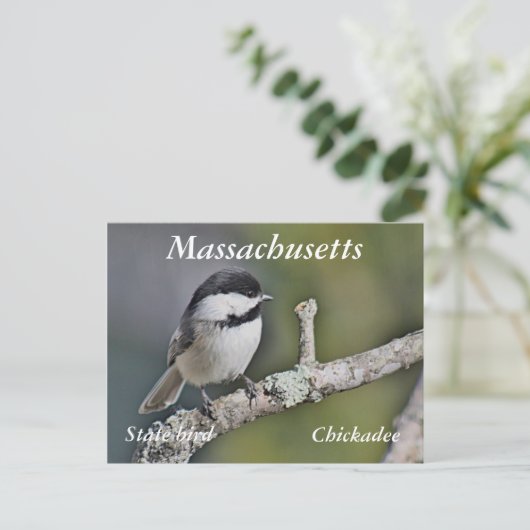 Chickadee Postkarte (Stehend Vorderseite)
