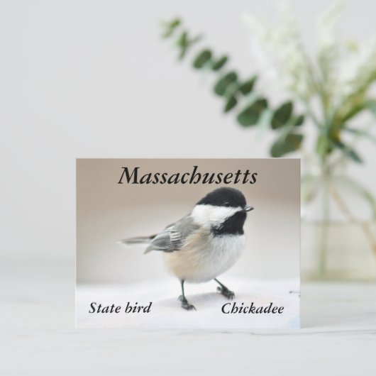 Chickadee Postkarte (Stehend Vorderseite)