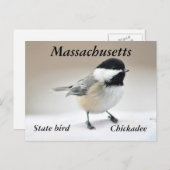 Chickadee Postkarte (Vorne/Hinten)