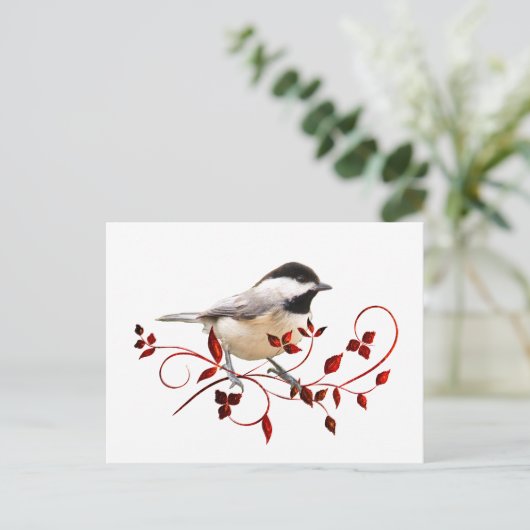 Chickadee Postkarte (Stehend Vorderseite)