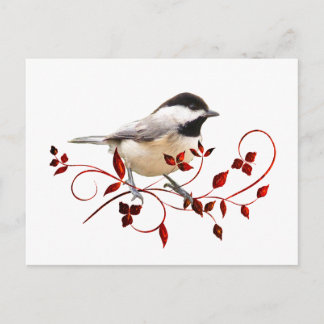 Chickadee Postkarte