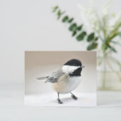 Chickadee Postkarte (Stehend Vorderseite)
