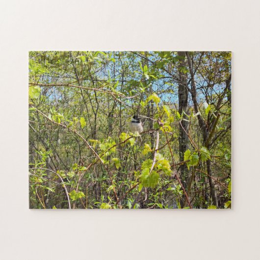 Chickadee Puzzle (Horizontal)