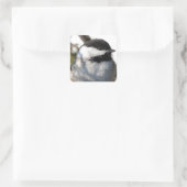 Chickadee Quadratischer Aufkleber (Tasche)