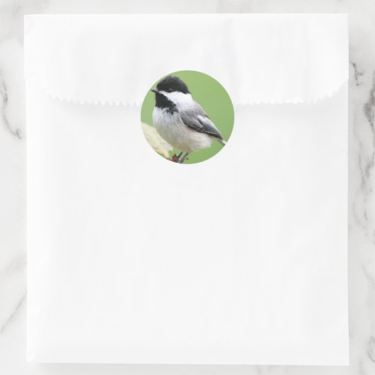 Chickadee Runder Aufkleber (Tasche)
