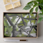 Chickadee Seidenpapier (Geschenk)