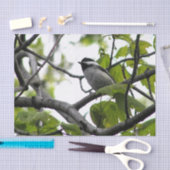 Chickadee Seidenpapier (Handwerk)