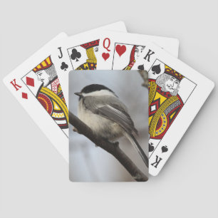 Chickadee Spielkarten