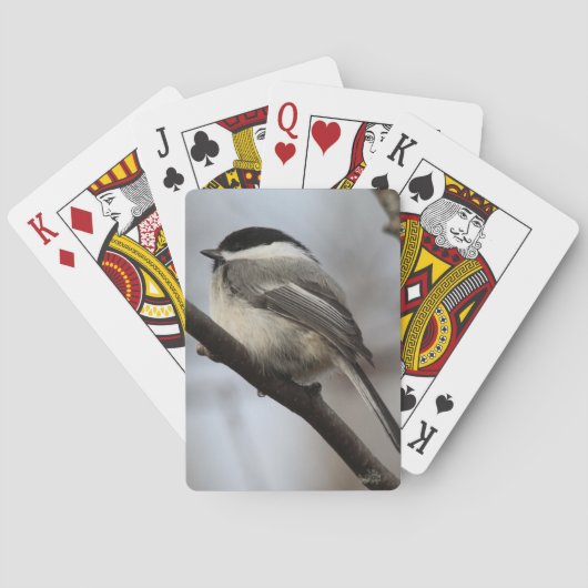 Chickadee Spielkarten (Rückseite)