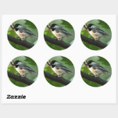 Chickadee Stickers (Blatt)
