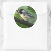 Chickadee Stickers (Tasche)