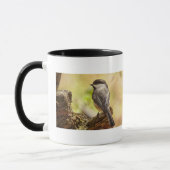 Chickadee-Tasse Tasse (Links)
