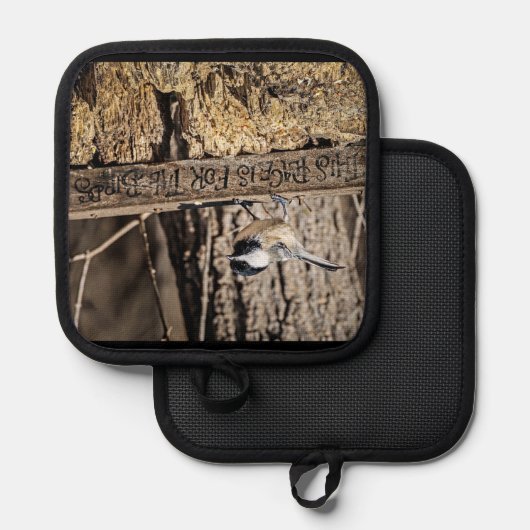 Chickadee Topflappen (Vorderseite/Rückseite)