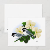 Chickadee und Dogwood-Blume Postkarte (Vorne/Hinten)