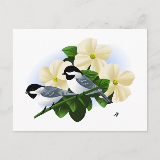 Chickadee und Dogwood-Blume Postkarte (Vorderseite)