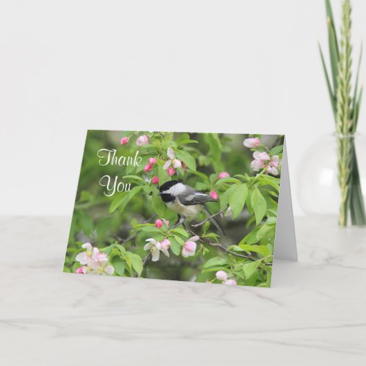 Chickadee- und Frühlingsblüten Dankeskarte (Vorderseite)