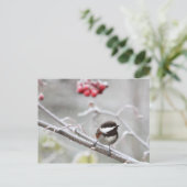 Chickadee und Rote Berries im Winter Postkarte (Stehend Vorderseite)