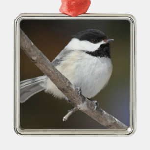 Chickadee-Verzierung Ornament Aus Metall