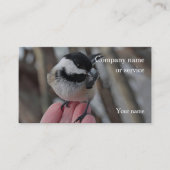 Chickadee Visitenkarte (Vorderseite)