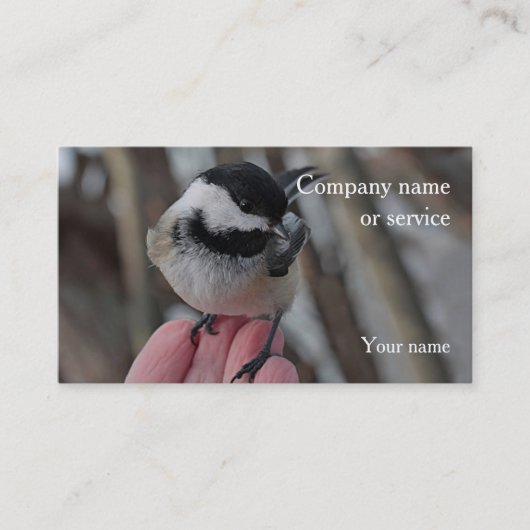 Chickadee Visitenkarte (Vorderseite)
