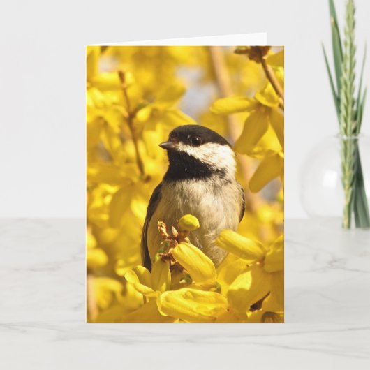 Chickadee-Vogel in der gelbe Blumen-leeren Karte (Vorderseite)