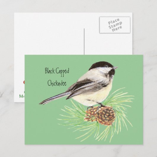 Chickadee - Vogel - Natur Postkarte (Vorne/Hinten)