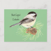 Chickadee - Vogel - Natur Postkarte (Vorderseite)
