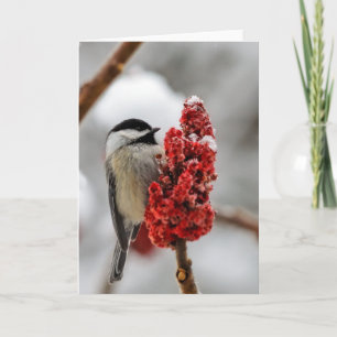 Chickadee Winter Holiday Grußkarte Feiertagskarte