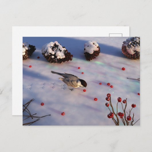 Chickadee Winter Postkarte (Vorne/Hinten)