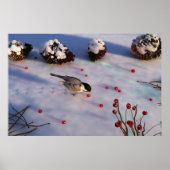 Chickadee Winter Print Poster (Vorne)
