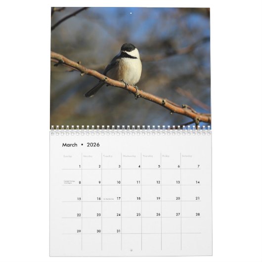 Chickadees Kalender (Mär 2026)