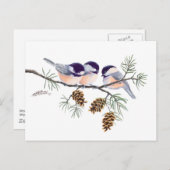 CHICKADEES & PINECONES VON SHARON SHARPE POSTKARTE (Vorne/Hinten)