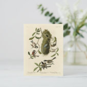 Chickadees und Bushtit, Audubons Vögel von Amerika Postkarte (Stehend Vorderseite)