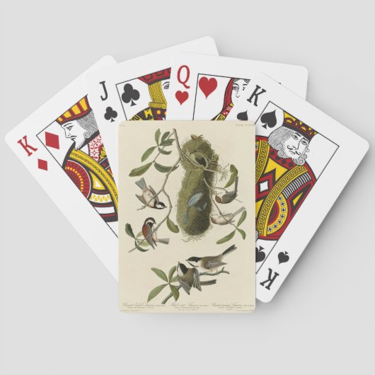 Chickadees und Bushtit, Audubons Vögel von Amerika Spielkarten (Rückseite)