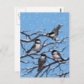 Chickadei im Winter Postkarte (Vorne/Hinten)