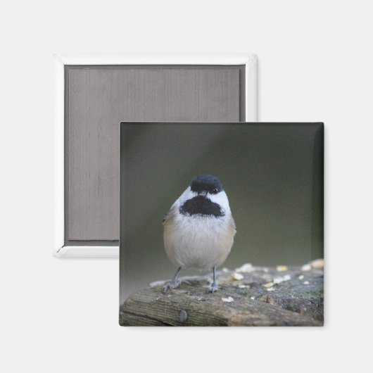 Chickademagnet Magnet (Vorderseite/Rückseite)