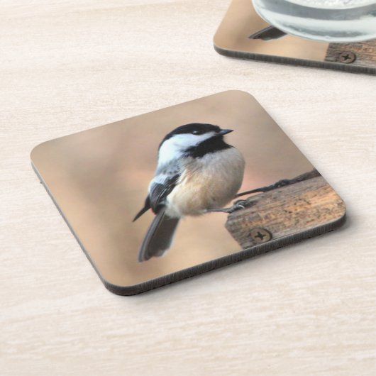 Chickadeo am Goldenen Lago Maggiore Untersetzer (Linke Seite)