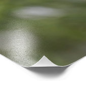 Chickadeo im Schnee auf einem Zedernbaum Fotodruck (Ecke)