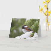 Chickadeo im Schnee auf einem Zedernbaum Karte (Gelbe Blume)