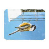 Chickadeon Feeder Painting - Original Bird Art Magnet (Horizontal)