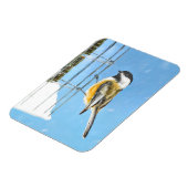 Chickadeon Feeder Painting - Original Bird Art Magnet (Linke Seite)